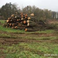 27) 2019-10-29 Składowisko drewna po wycince w km_35+500