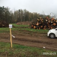 28) 2019-10-29 Składowisko drewna po wycince w km_35+500
